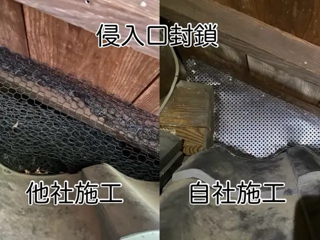 【害獣駆除年末まで空き僅か】1度口コミ覗いてください！調査〜お見積りまで無料！サービスの画像