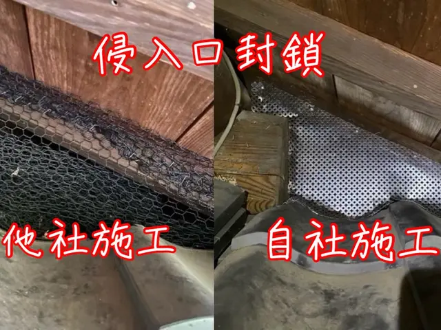 【害獣駆除年末まで空き僅か】1度口コミ覗いてください！調査〜お見積りまで無料！サービスの画像