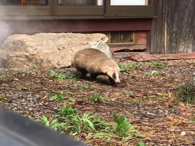 【害獣駆除歴10年！】施工前後の写真有 ◎他社に負けない施工の仕上がり◎サービスの画像