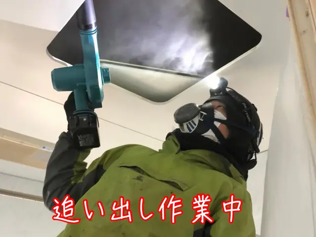 【害獣駆除年末まで空き僅か】1度口コミ覗いてください！調査〜お見積りまで無料！サービスの画像