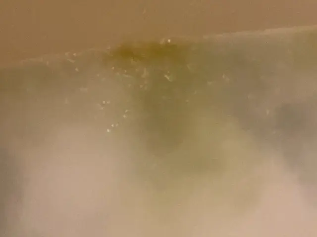 【洗濯機の分解そうじとセットでお得に！】サービスの画像