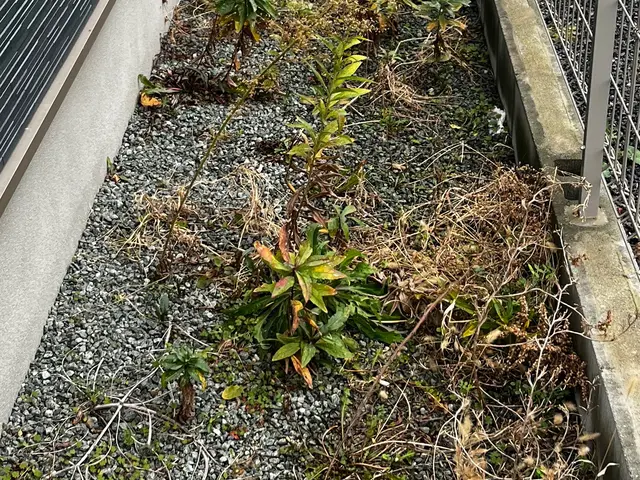 【年中無休】営業時間外や対応地域外のご予約もご相談ください！サービスの画像