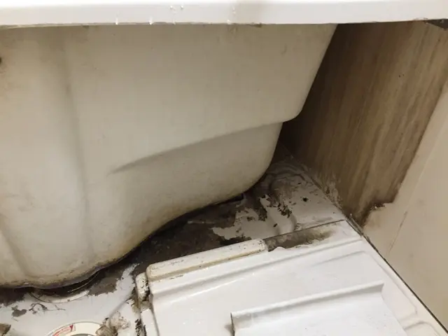 ■水周り5箇所のお得なセット！■ 気になった時が掃除時！早めのご予約がオススメ！サービスの画像