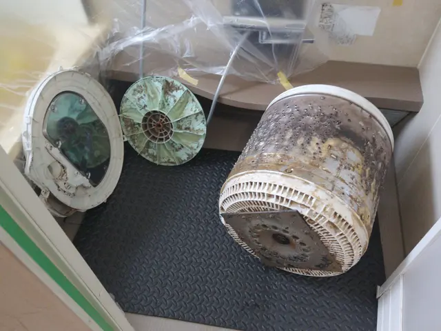 《1日1件丁寧施工》匂いやカビを根本から除去！口コミもぜひご覧くださいサービスの画像