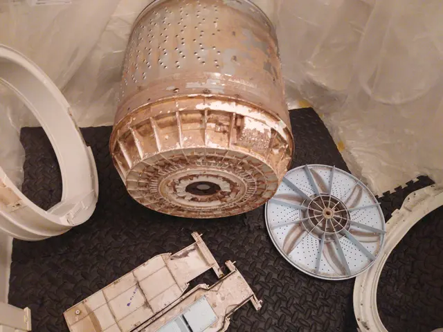 《1日1件丁寧施工》匂いやカビを根本から除去！口コミもぜひご覧くださいサービスの画像