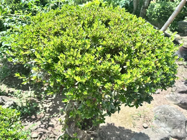 几帳面と真面目な仕事で細部までしっかり仕上げます！！サービスの画像