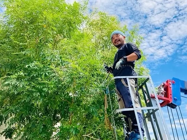 【どんな高さも対応可能】迅速な現場対応と丁寧な仕上がりで理想のお庭へサービスの画像