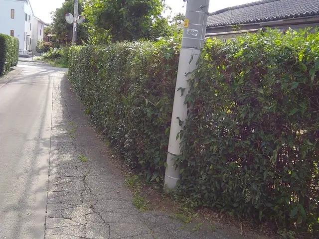 植込みの剪定　迅速対応致します!!サービスの画像