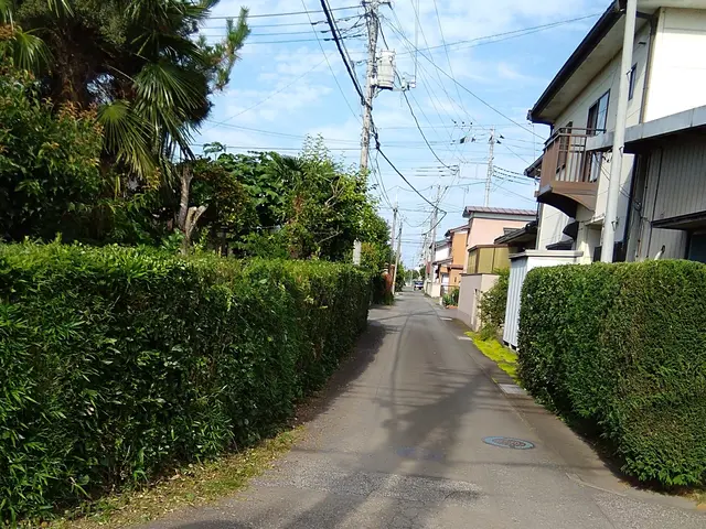 植込みの剪定　迅速対応致します!!サービスの画像