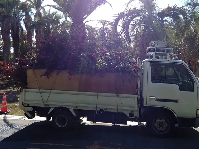 植込みの剪定　迅速対応致します!!サービスの画像