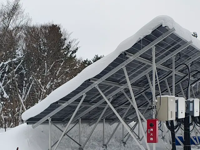 お客様満足度の高い対応力！ソーラーパネルにも対応可能！損害保険加入済みサービスサービスの画像