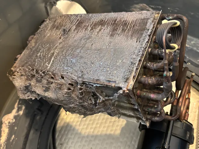 ドラム式洗濯機クリーニング【ご相談/出張費（1都4県）/お見積り0円】サービスの画像