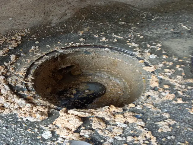 排水管内洗浄【年中無休】営業時間外ご相談ください！損保加入サービスの画像