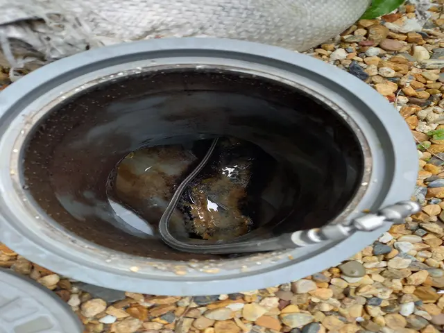 排水管内洗浄【年中無休】営業時間外ご相談ください！損保加入サービスの画像