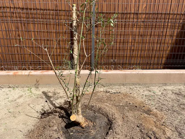 【女性スタッフ同行可◎】プロの技術でお困りごとを解決！ご要望にお応えします！サービスの画像