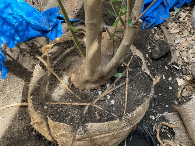 【女性スタッフ同行可◎】プロの技術でお困りごとを解決！ご要望にお応えします！サービスの画像