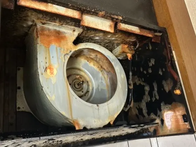 ◆◇徹底洗浄で快適空間◇◆ 今だけ新規出店キャンペーン！サービスの画像