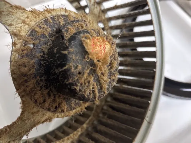 ◆◇徹底洗浄で快適空間◇◆ 今だけ新規出店キャンペーン！サービスの画像