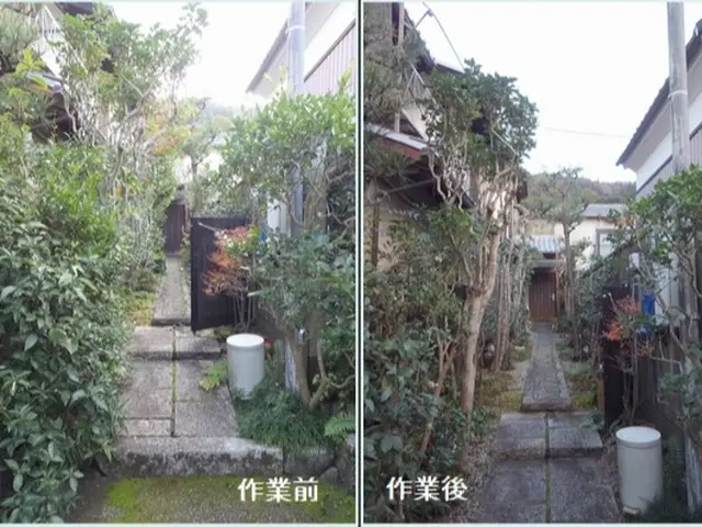 生垣 植込みをスッキリ丁寧に整えます。低木はゴミ回収費込みです！サービスの画像