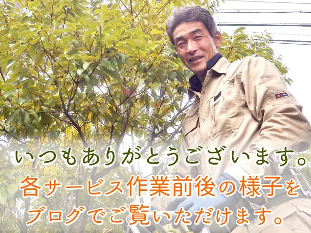 生垣 植込みをスッキリ丁寧に整えます。低木はゴミ回収費込みです！サービスの画像