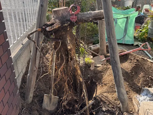 【業歴14年の実績】年中無休◎アフターフォローも丁寧に対応いたしますサービスの画像