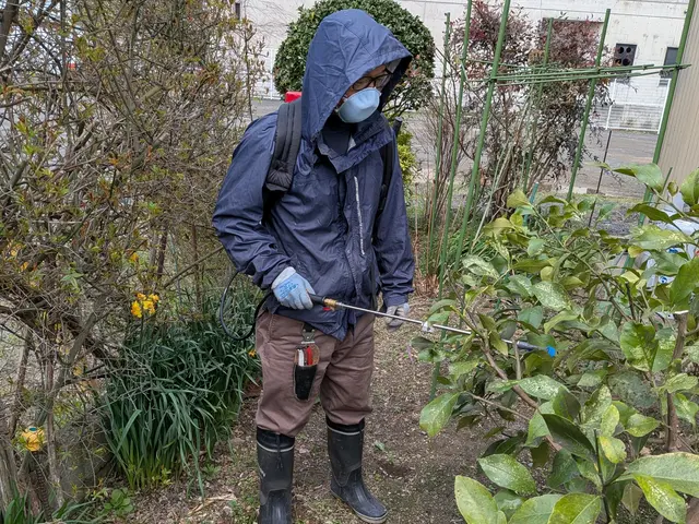 【舞鶴発】◆新規出店キャンペーン◆25年以上の実績！◎お気軽にご相談くださいサービスの画像