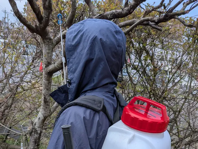 【舞鶴発】◆新規出店キャンペーン◆25年以上の実績！◎お気軽にご相談くださいサービスの画像