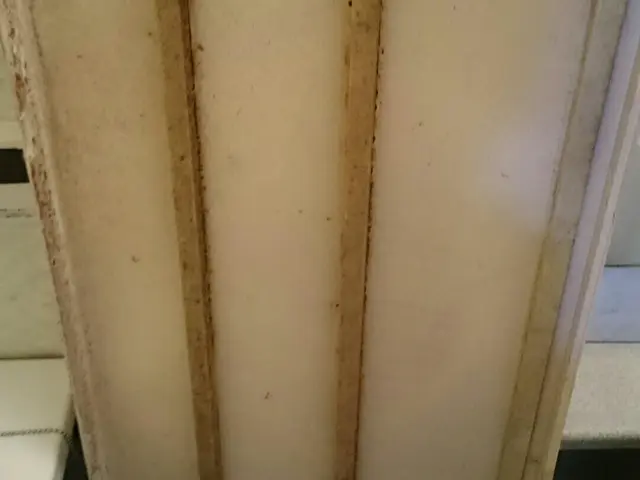 【損保加入済】見えない所まで一生懸命やります！女性スタッフ同行もOK！サービスの画像