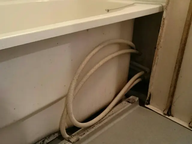 【損保加入済】見えない所まで一生懸命やります！女性スタッフ同行もOK！サービスの画像