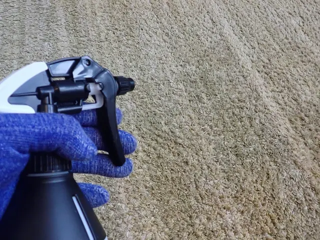 茨木より。スチームの熱処理→清掃→薬剤処理（駆除）で成虫から卵まで駆除します！サービスの画像