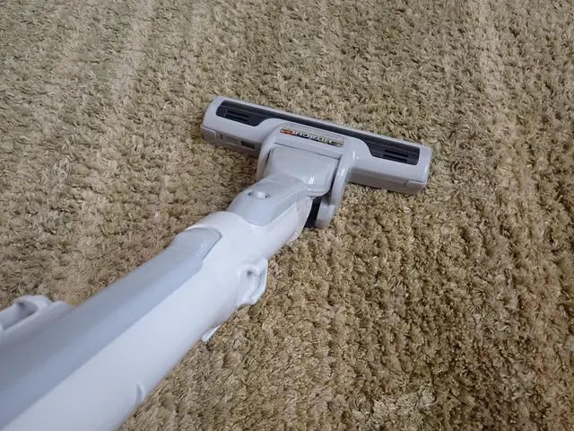 茨木より。スチームの熱処理→清掃→薬剤処理（駆除）で成虫から卵まで駆除します！サービスの画像