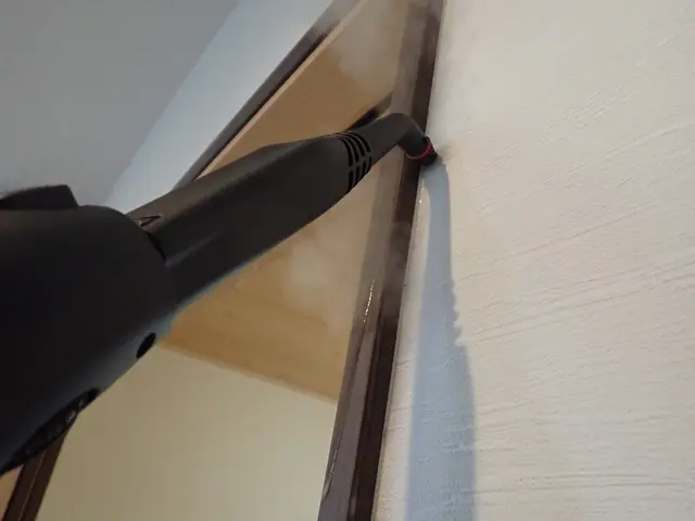 茨木より。スチームの熱処理→清掃→薬剤処理（駆除）で成虫から卵まで駆除します！サービスの画像