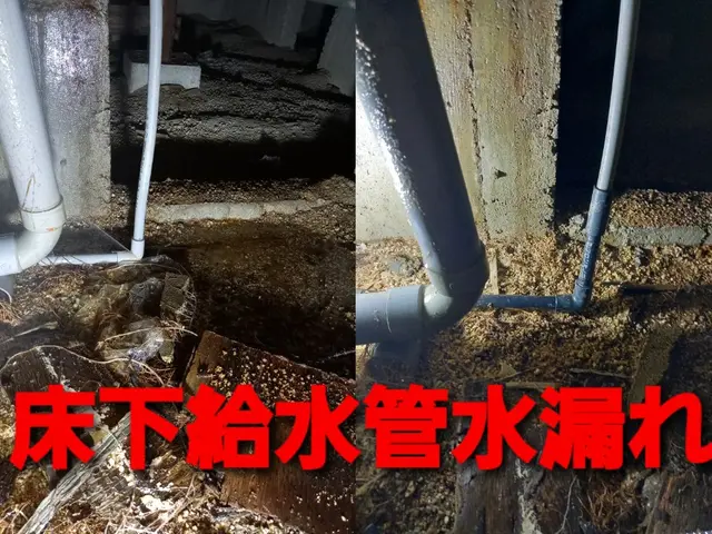 【7000件超の実績】◆損害保険加入◆クレカ決済可◆インボイス対応◆出張費ナシ！サービスの画像