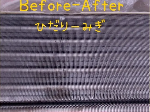 汚れや臭いが無くなるまで徹底的に洗浄します！真心を込めておそうじいたします。サービスの画像