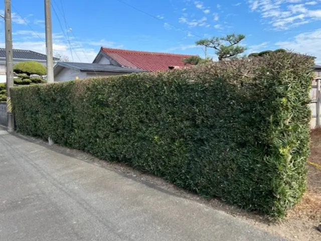 アミュー(AMYU)サービスの画像