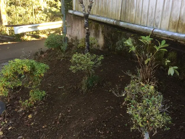 広範囲の面倒な草刈りお任せください！防草シートの施工も承ります♪サービスの画像