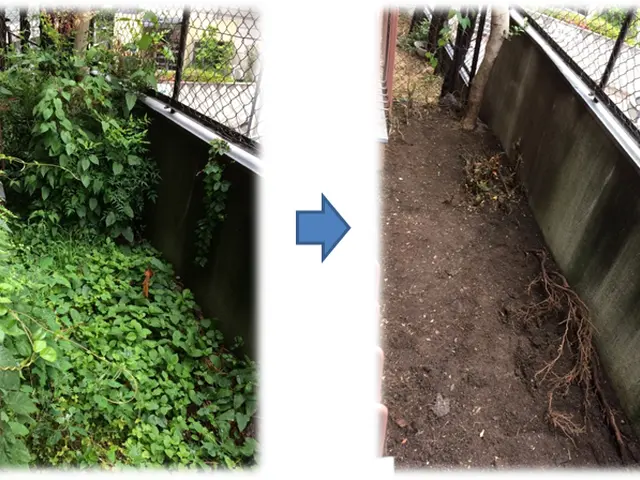 広範囲の面倒な草刈りお任せください！防草シートの施工も承ります♪サービスの画像