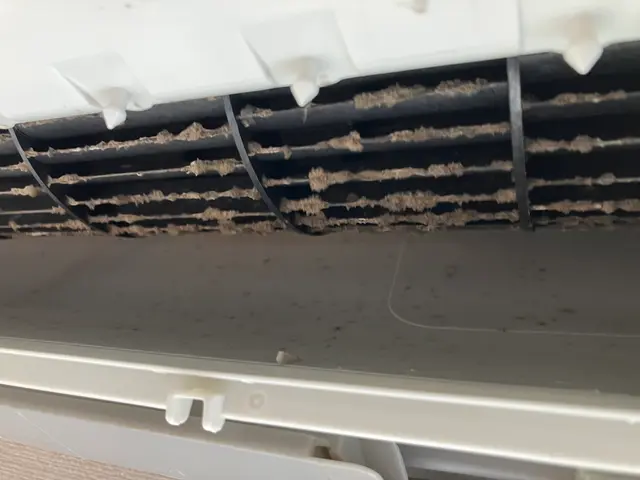 三児のパパが手掛ける安心・丁寧なクリーニングサービスの画像