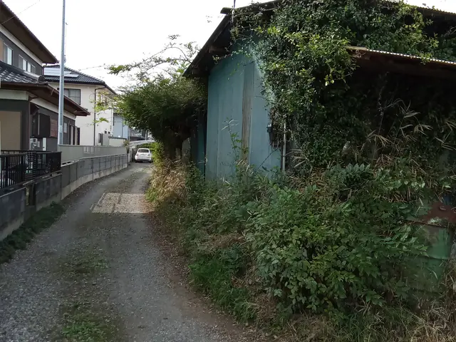 植木伐採します！サービスの画像