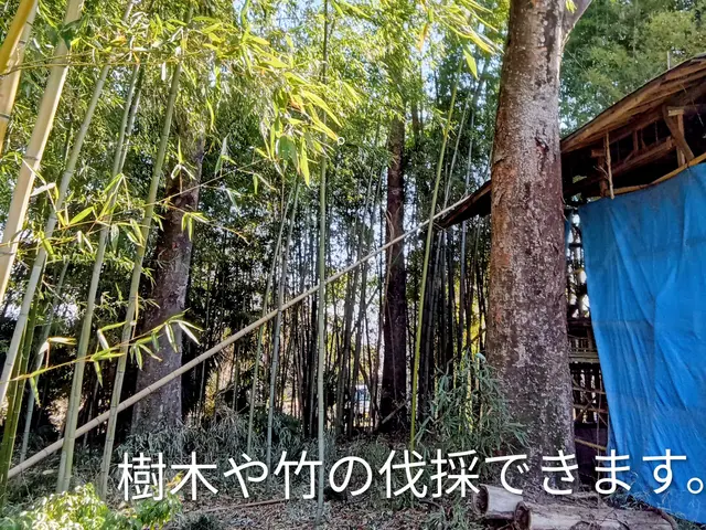 植木伐採します！丁寧、清潔、安心の創業２５年超えの真心込めたサービスを提供しますサービスの画像