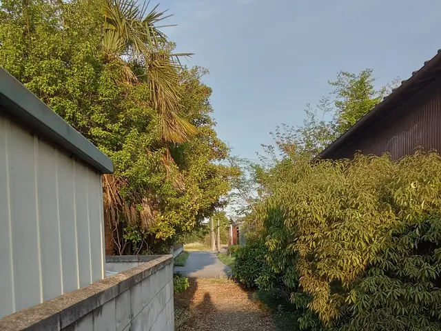 植木伐採します！丁寧、清潔、安心の創業２５年超えの真心込めたサービスを提供しますサービスの画像