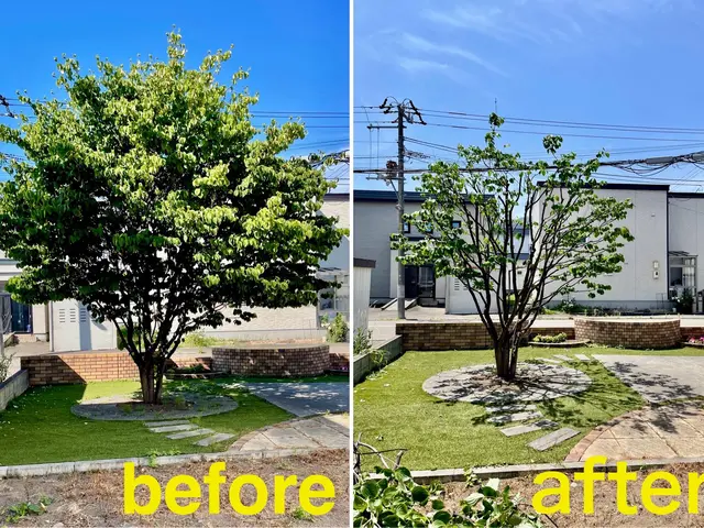 お庭に映える“カッコイイ生垣”を丁寧に剪定します！直近の空きは7/8日以降サービスの画像