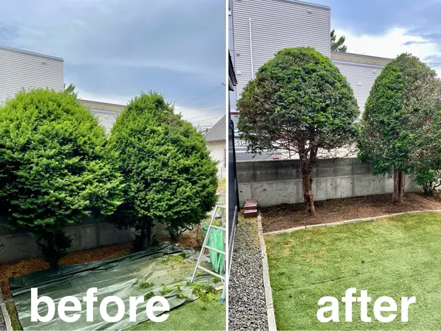 お庭に映える“カッコイイ生垣”を丁寧に剪定します！直近の空きは7/8日以降サービスの画像