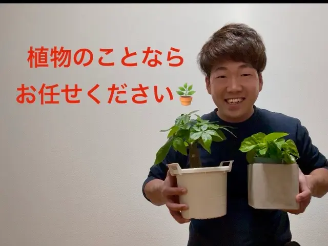 【作業実績100件以上】◆3/13から対応可能！◆お庭のことならお任せくださいサービスの画像