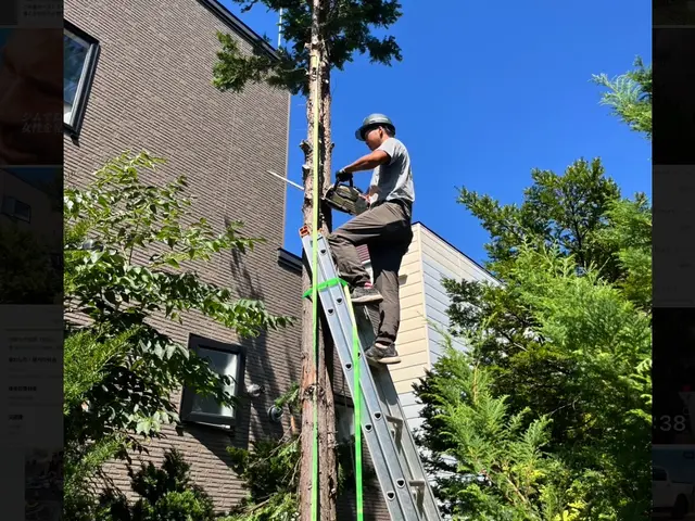 【作業実績100件以上】◆3/13から対応可能！◆お庭のことならお任せくださいサービスの画像