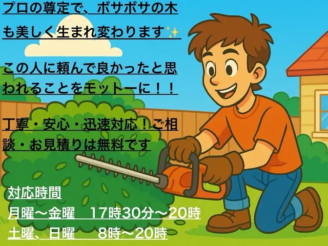 お庭に映える“カッコイイ生垣”を丁寧に剪定します！直近の空きは7/8日以降サービスの画像