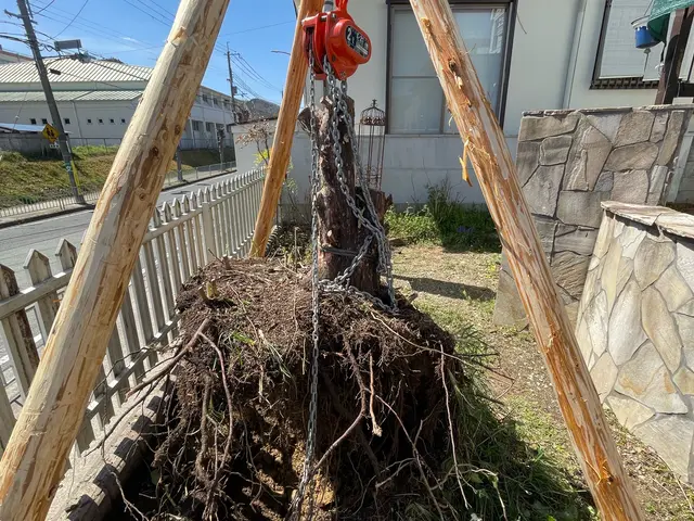 ◎業歴10年◎大手業務経験豊富◎アフターフォローも万全サービスの画像