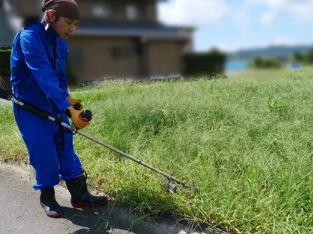 草刈りはお任せください！サービスの画像