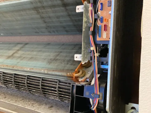 ◆店長の私がお伺いします◆お子様やペットに安心！天然由来の洗剤使用！サービスの画像