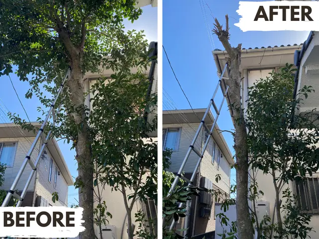 岡山在住の5児パパがお庭をすっきりサービスの画像